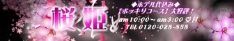 �ޗǎs�f���w�� ���P