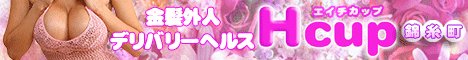 �ю���/�T�˃f���w�� Hcup�ю���(H�J�b�v)