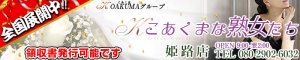 �P�H/����/���Ð�f���w�� �������܂ȏn�������@�P�H�X
