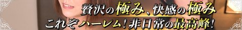 �h/��/�ۂ̓������EM���� �ϑԐa�m��y�����É��X