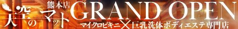 �F�{�s�G�X�e�}�b�T�[�W �V��̃}�b�g�F�{�X