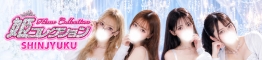 �V�h(�̕��꒬)�f���w�� �P�R���N�V�����@�V�h�X